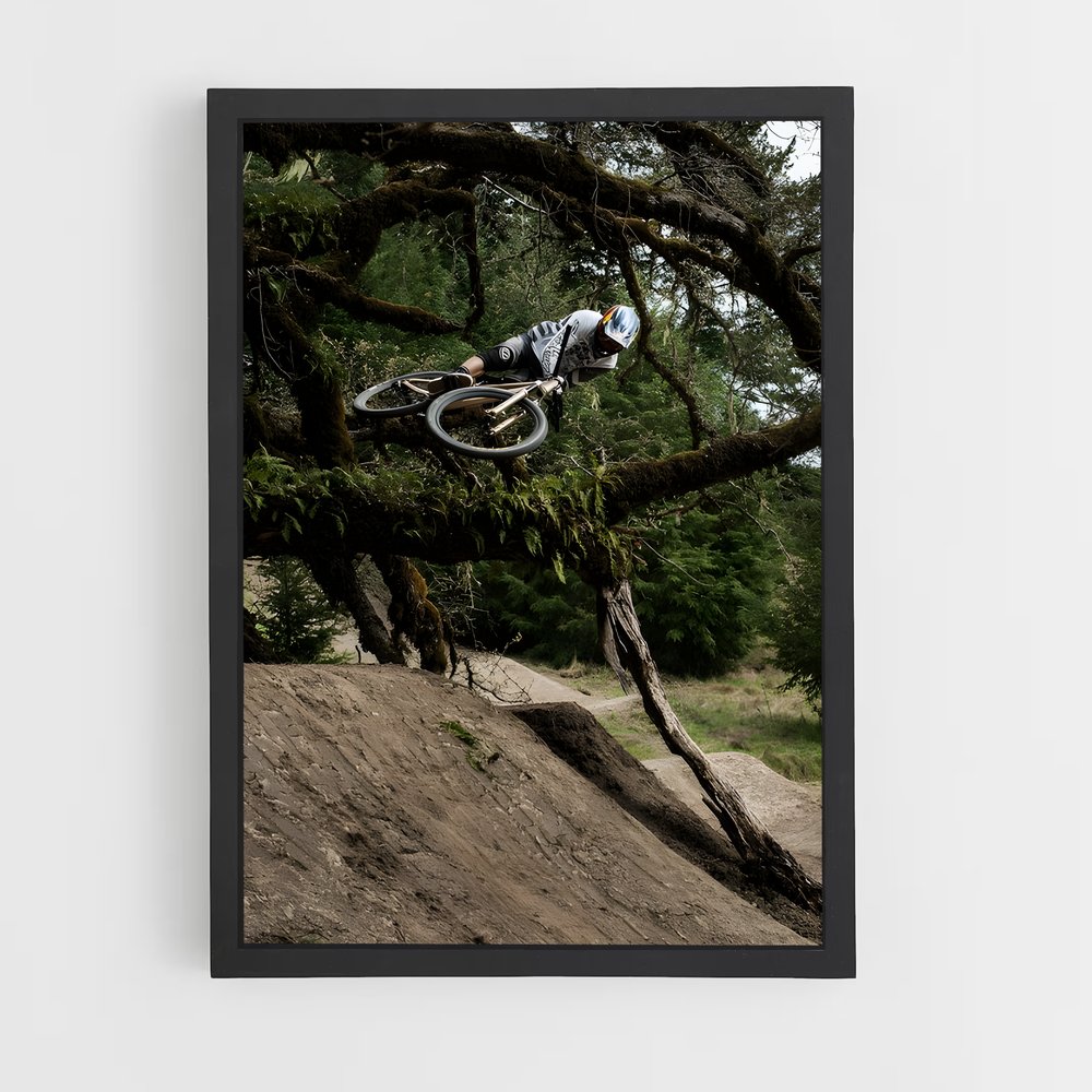 Poster Brandon de semenuk – affiche Cyclisme (vue 2)